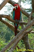 tn_bhamzoo_200609_02 (11K)