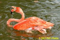 tn_bhamzoo_200609_24 (10K)